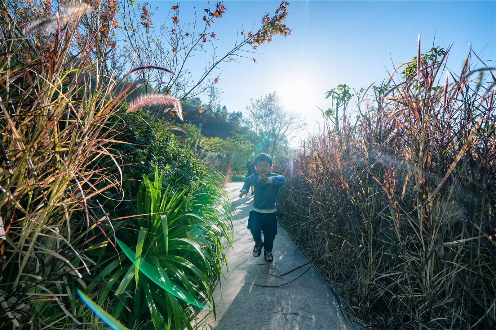 四川攀枝花中央公园-34