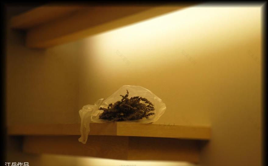 椒江棕榈阳光-92