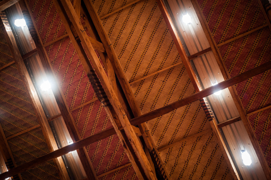 乌干达乡村社区健康教育中心-50