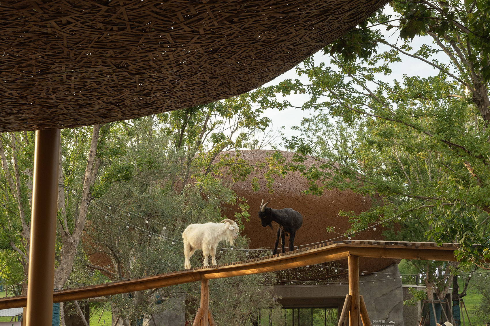 武汉麓客岛动物农场丨中国武汉丨万社设计-12