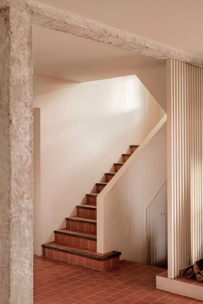 PLANTEA｜新的生命力-13