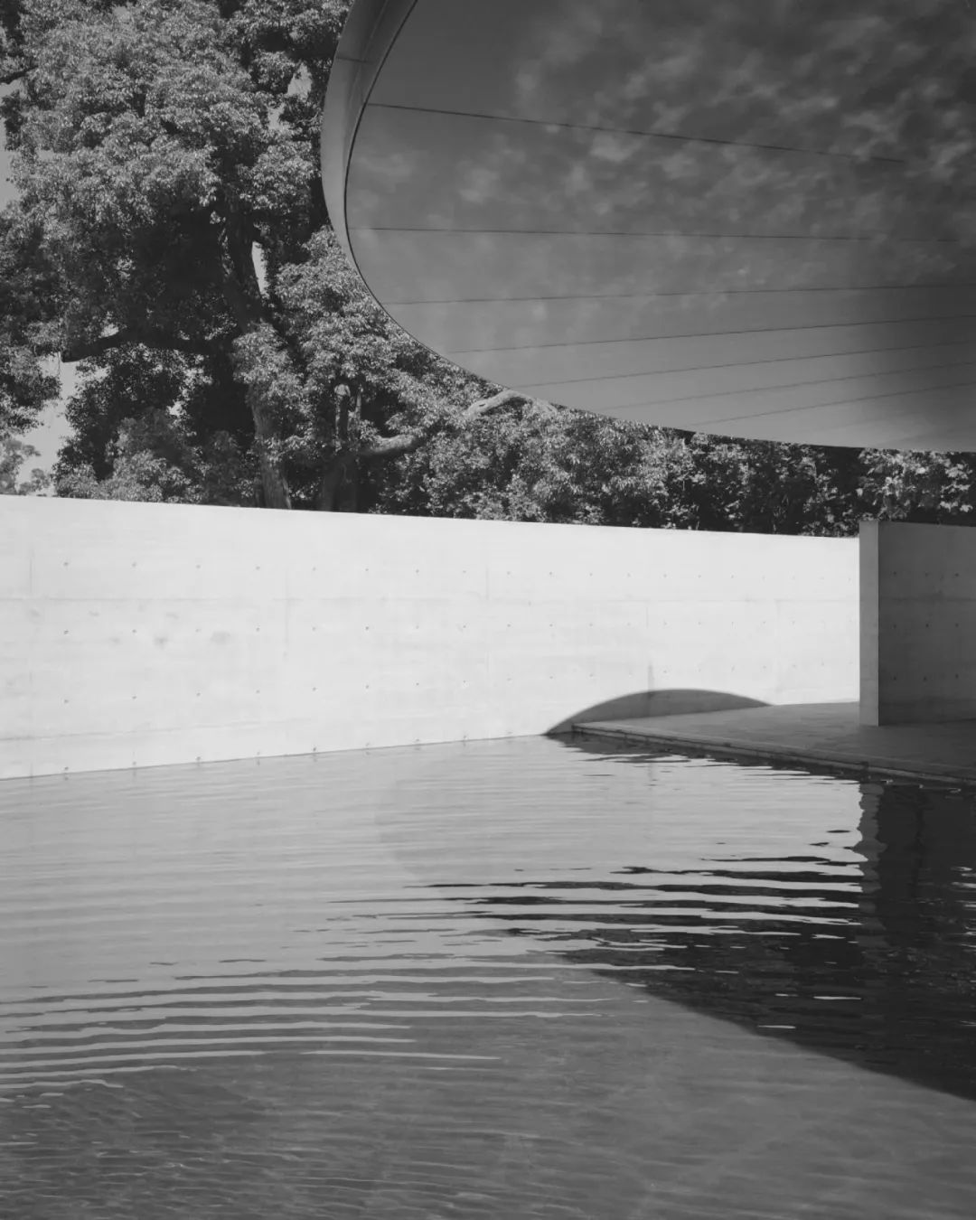 全球建筑界集体声援！安藤忠雄墨尔本圆亭免于拆除，建筑保留至2030年。网友：混凝土赢了-137