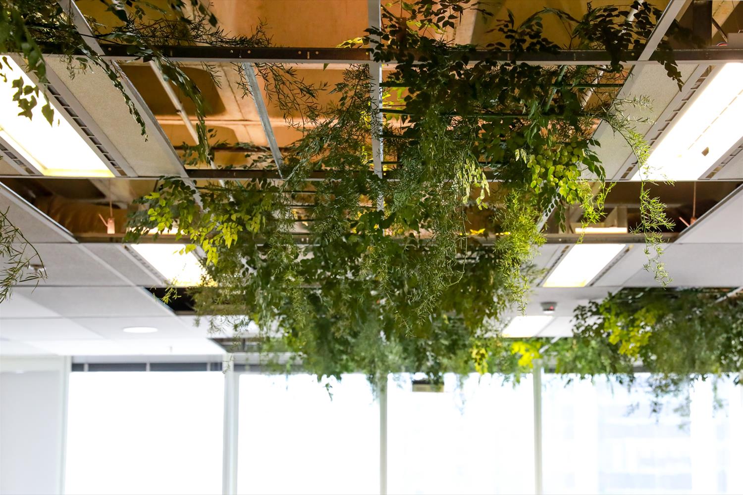 LVL 广告公司经济型办公空间设计-14