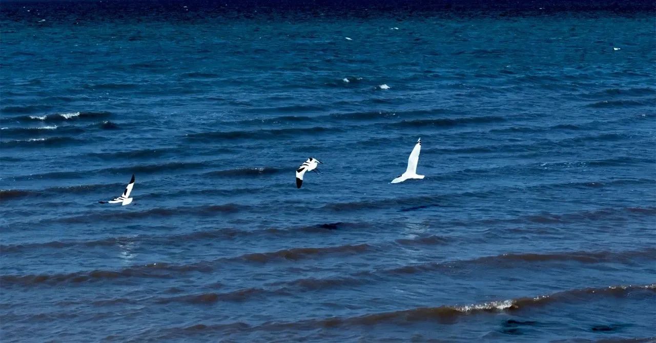 「渔府盛宴」湖畔寻味餐厅设计丨中国榆林丨江苏平衡艺术设计有限公司-8