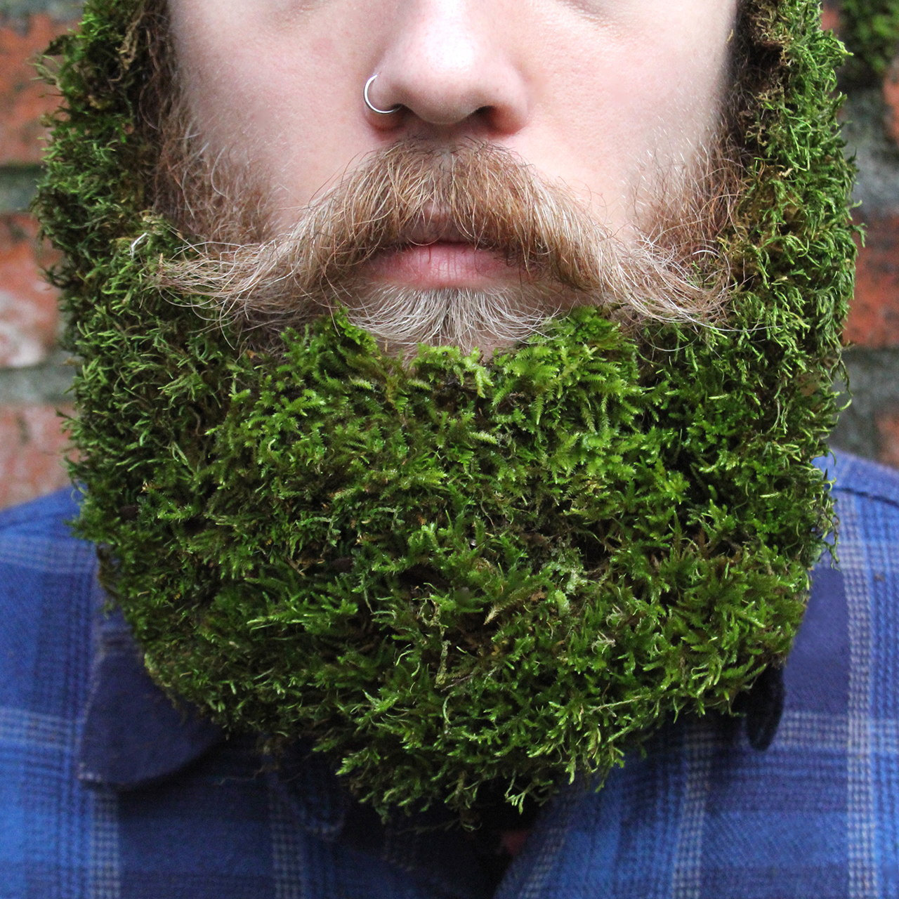 创意闪耀,同性胡须装饰的艺术-13