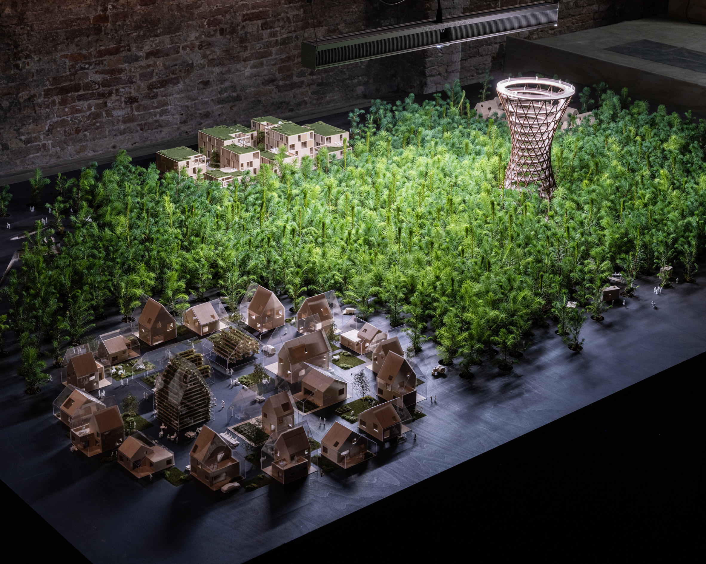 丹麦建筑工作室 EFFEKT 在威尼斯建筑双年展上展示“从自我到生态”的绿色理念-7