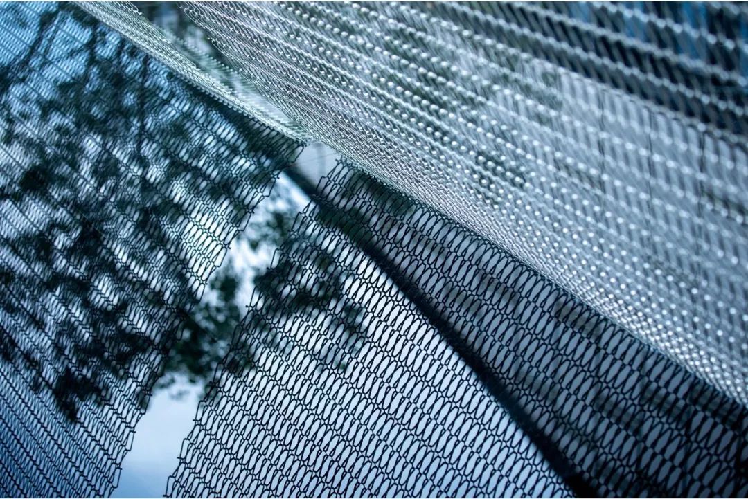 森林公园变奏曲 | 合肥北城正荣府示范区-98