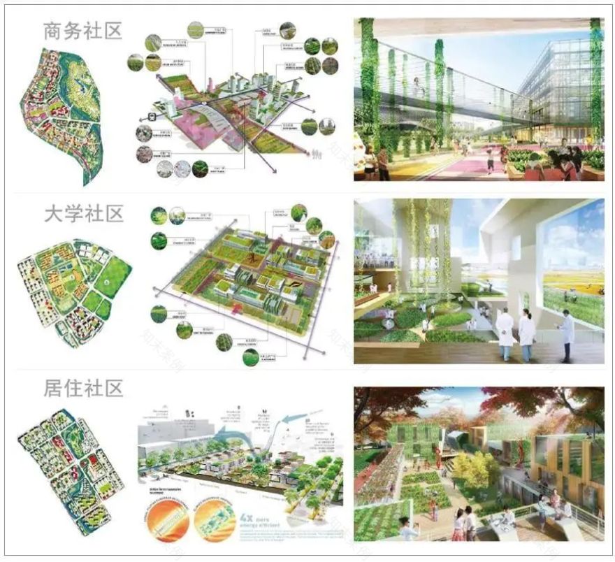 农业城市主义视角下的百色国家农业科技园区特色营造策略丨中国百色丨GZPI规划设计三所-89