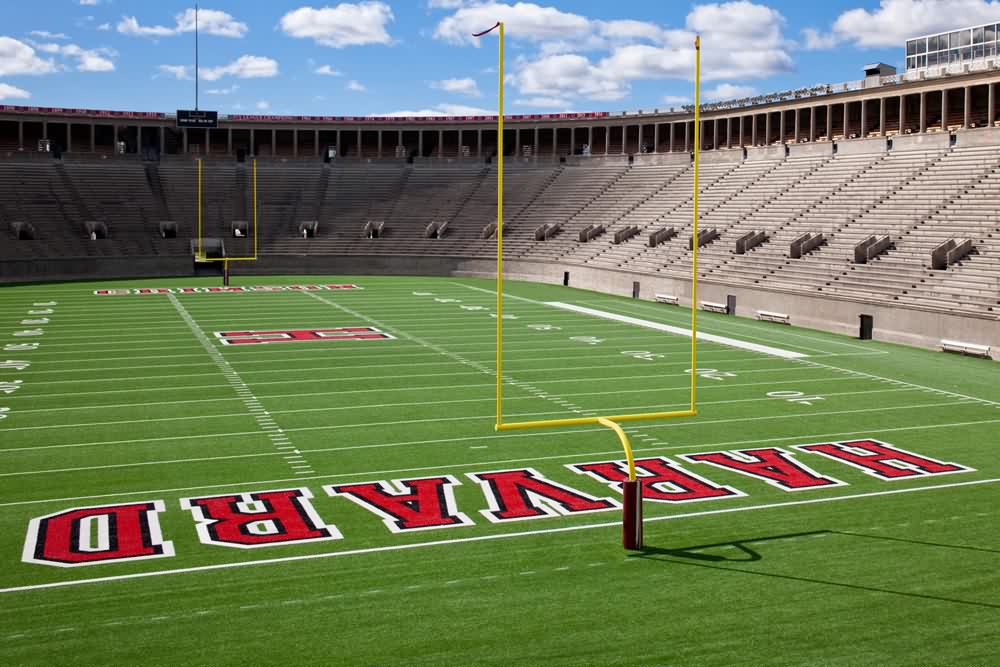 Assumption 大学运动广场-6