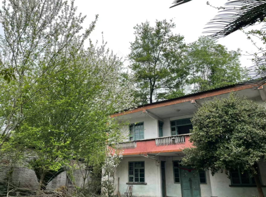 低成本梦幻小院改造丨中国南京丨思文,Ssisy,溯溯-49