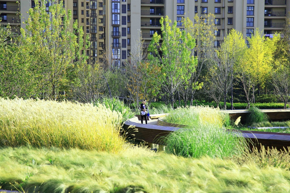 胶梦水韵(胶州三里河公园中央商务区段1标段)-168