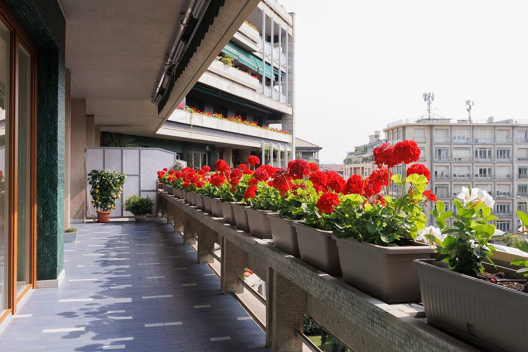 卡萨 AZG丨意大利都灵丨Idaa Architetti-9