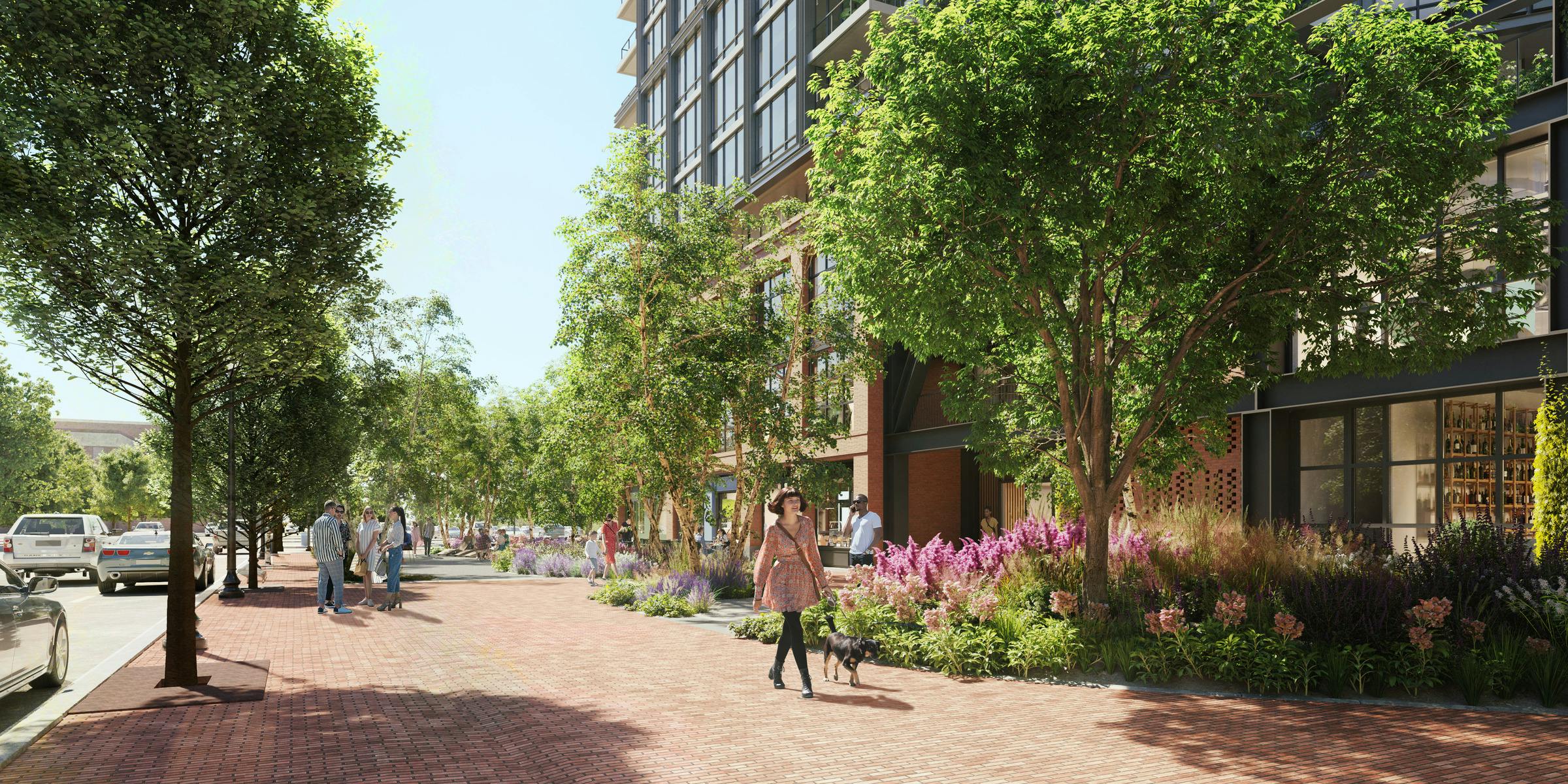 丨美国华盛顿丨Morris Adjmi Architects-8