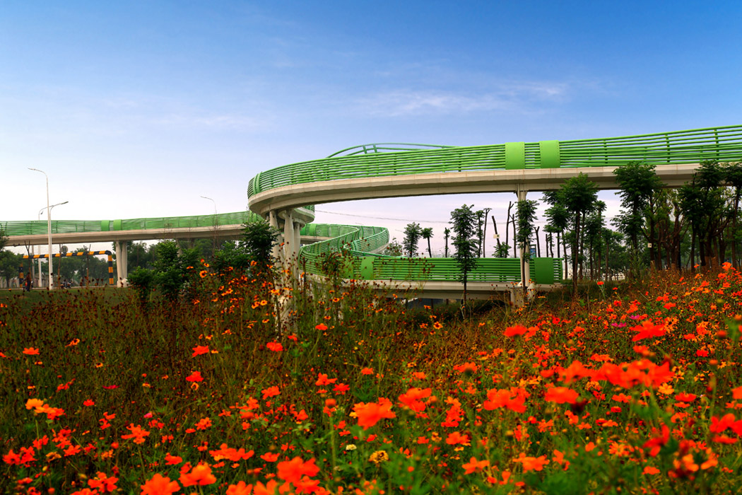 江苏徐州长袖天桥-22