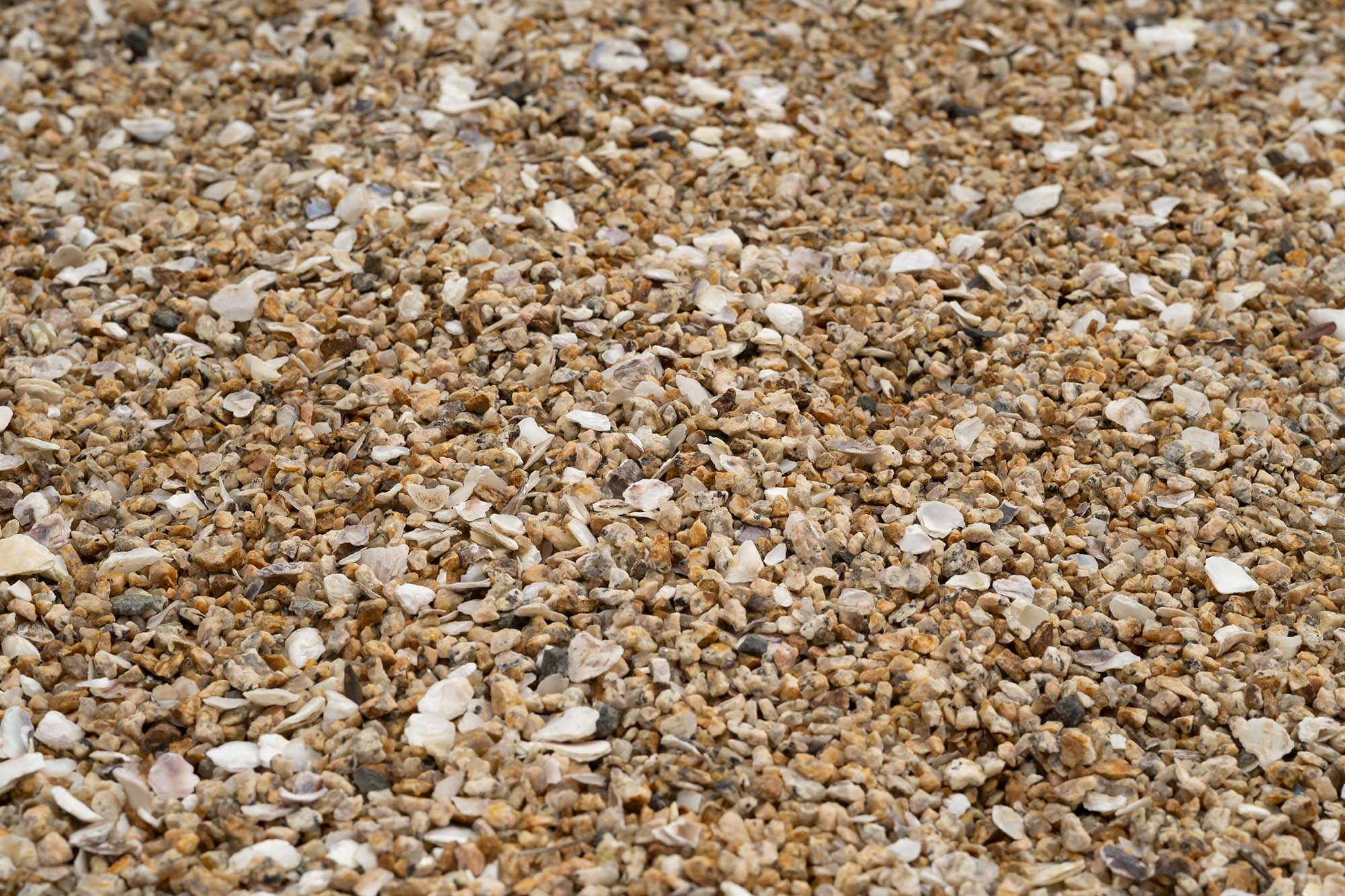 身边风景 | Soft Studio-35