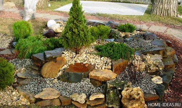 自制阿尔卑斯式假山（阿尔卑斯式花坛）-130