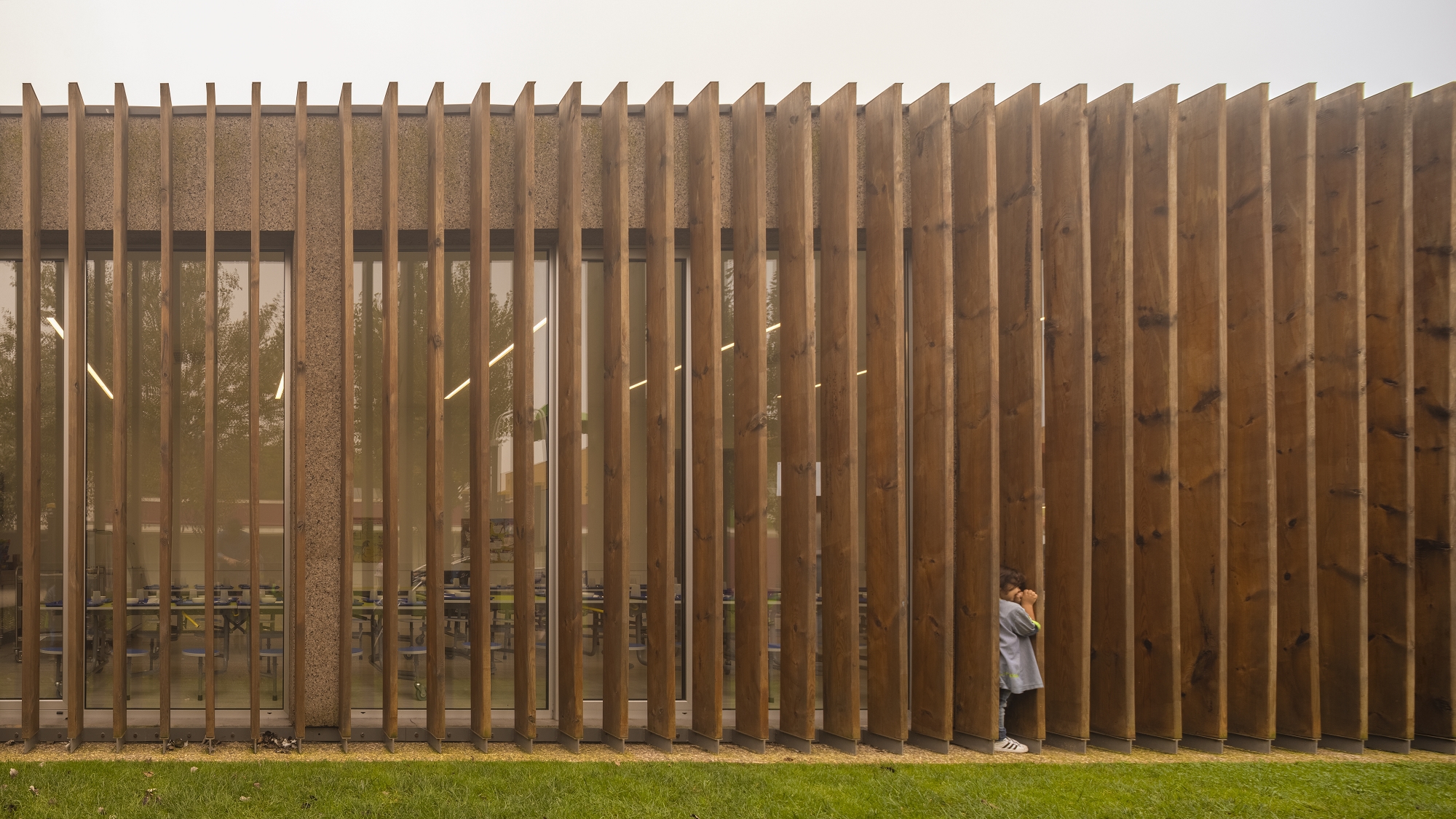 树屋学校丨葡萄牙丨Contaminar Arquitetos-22