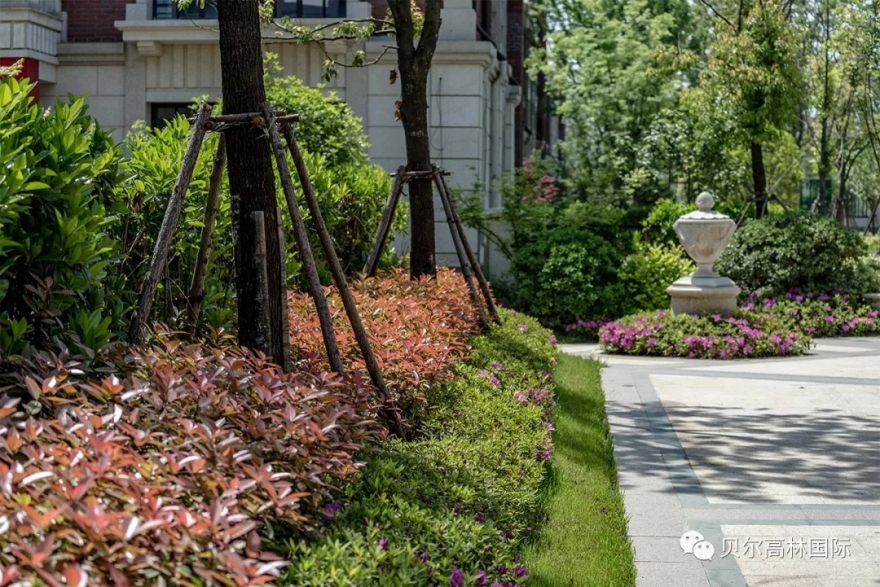 合肥新华•御湖庄园-75