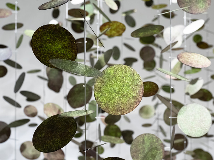 Золотые аварийные одеяла в инсталляции: уникальные художественные шедевры-10