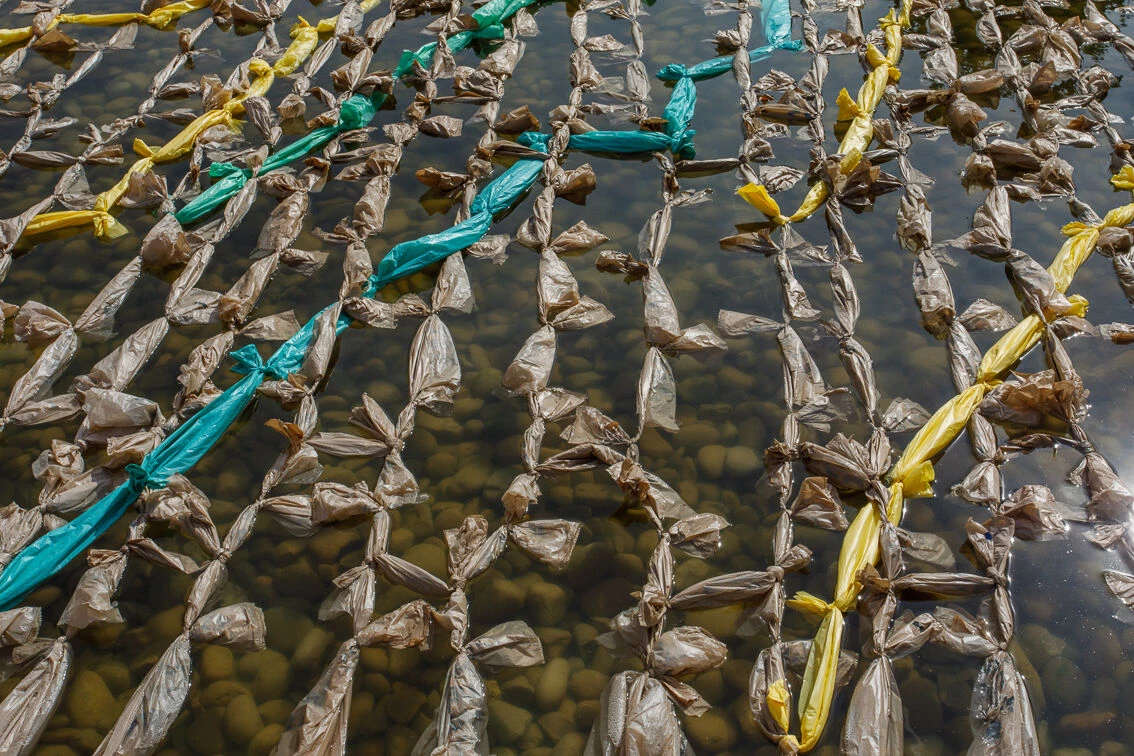 金钱的成本:筏丨西班牙巴塞罗那丨Mark Cottle-32