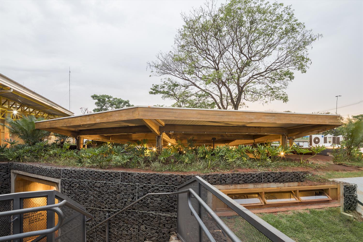 Toca do Urso · 绿色可持续的创新酒吧设计-2