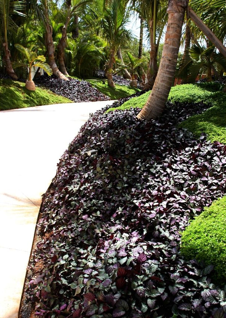 热带岛屿别墅-43