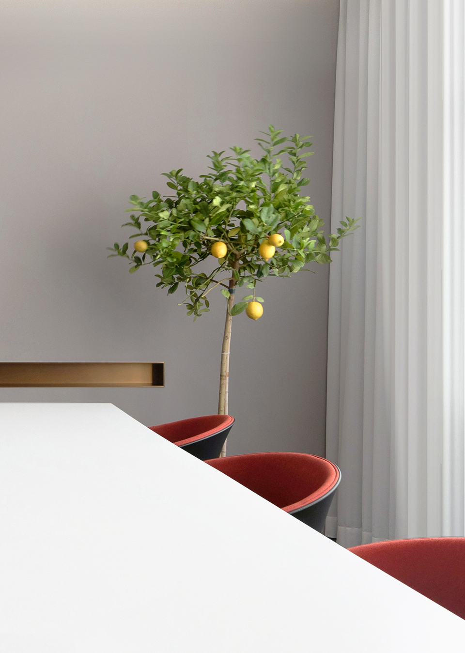 深圳深度进化设计事务所办公空间丨中国深圳-44