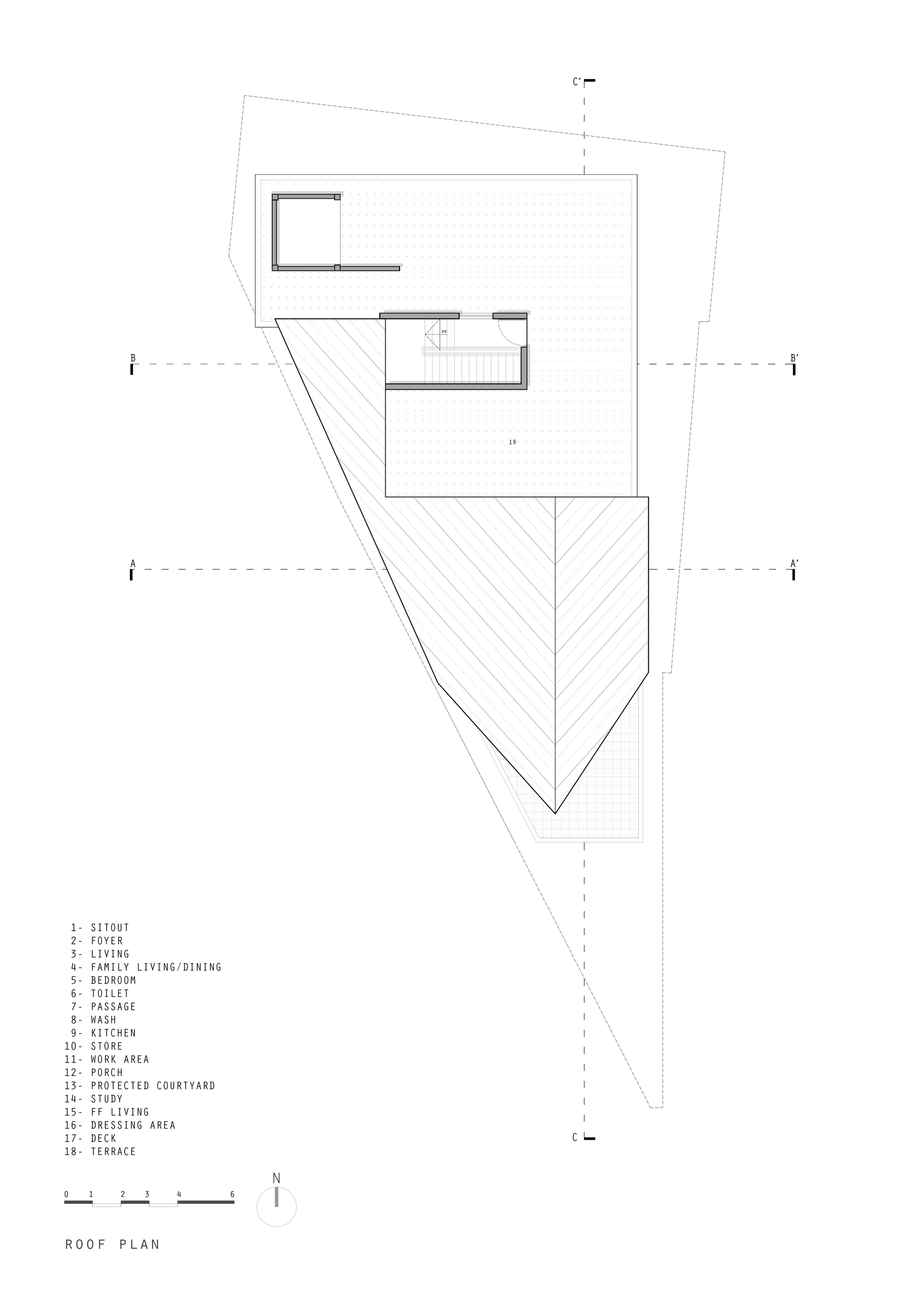 丨印度丨TROPICAL TONES-49