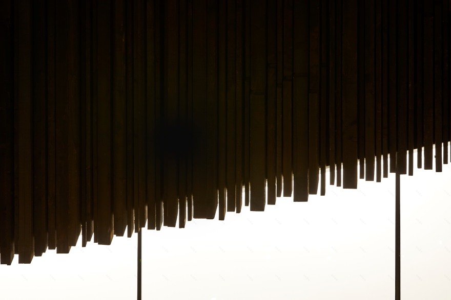 森林中的圆形艺术馆-18