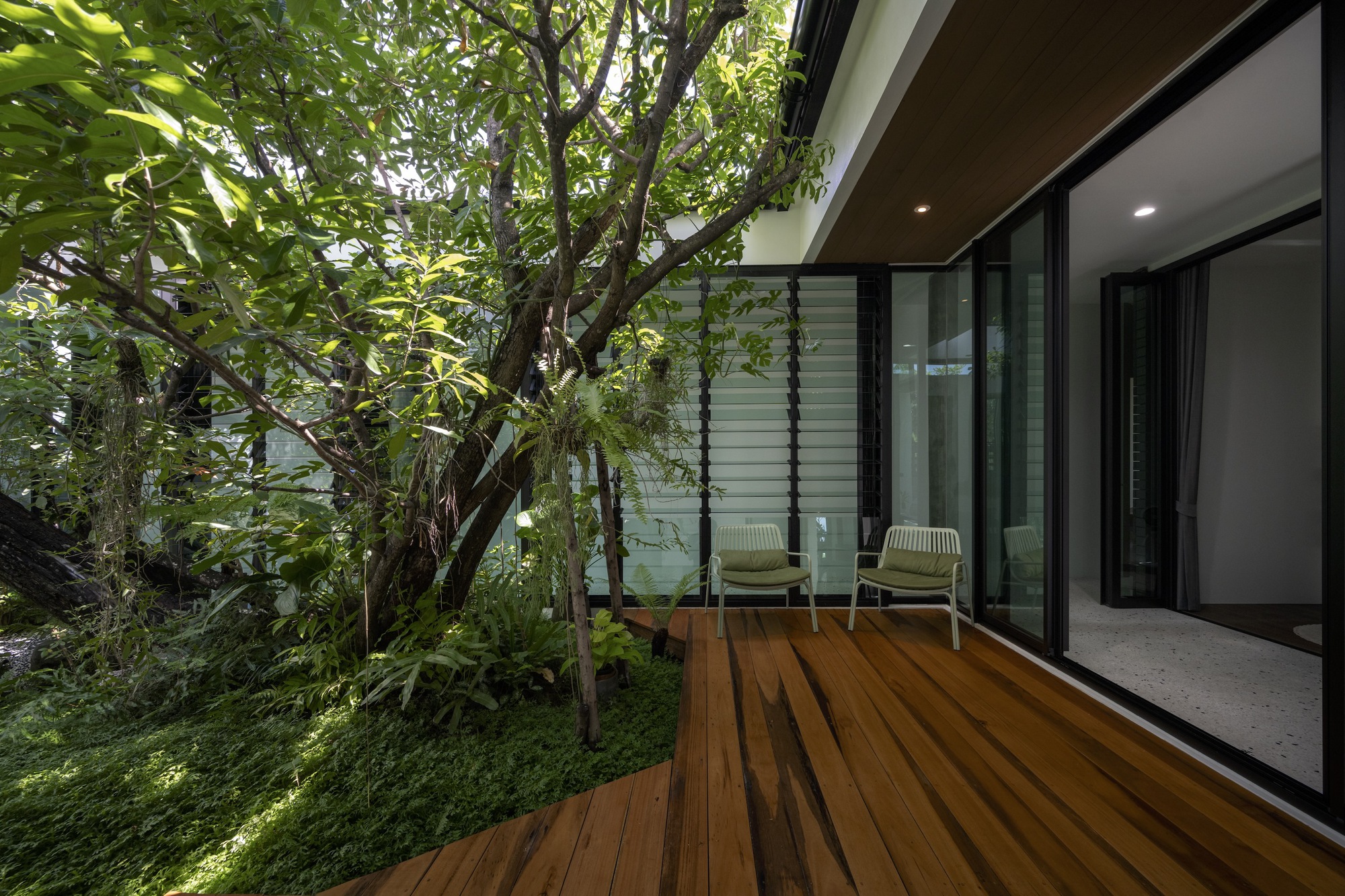 树的房子丨泰国曼谷丨Studio Bewell-22