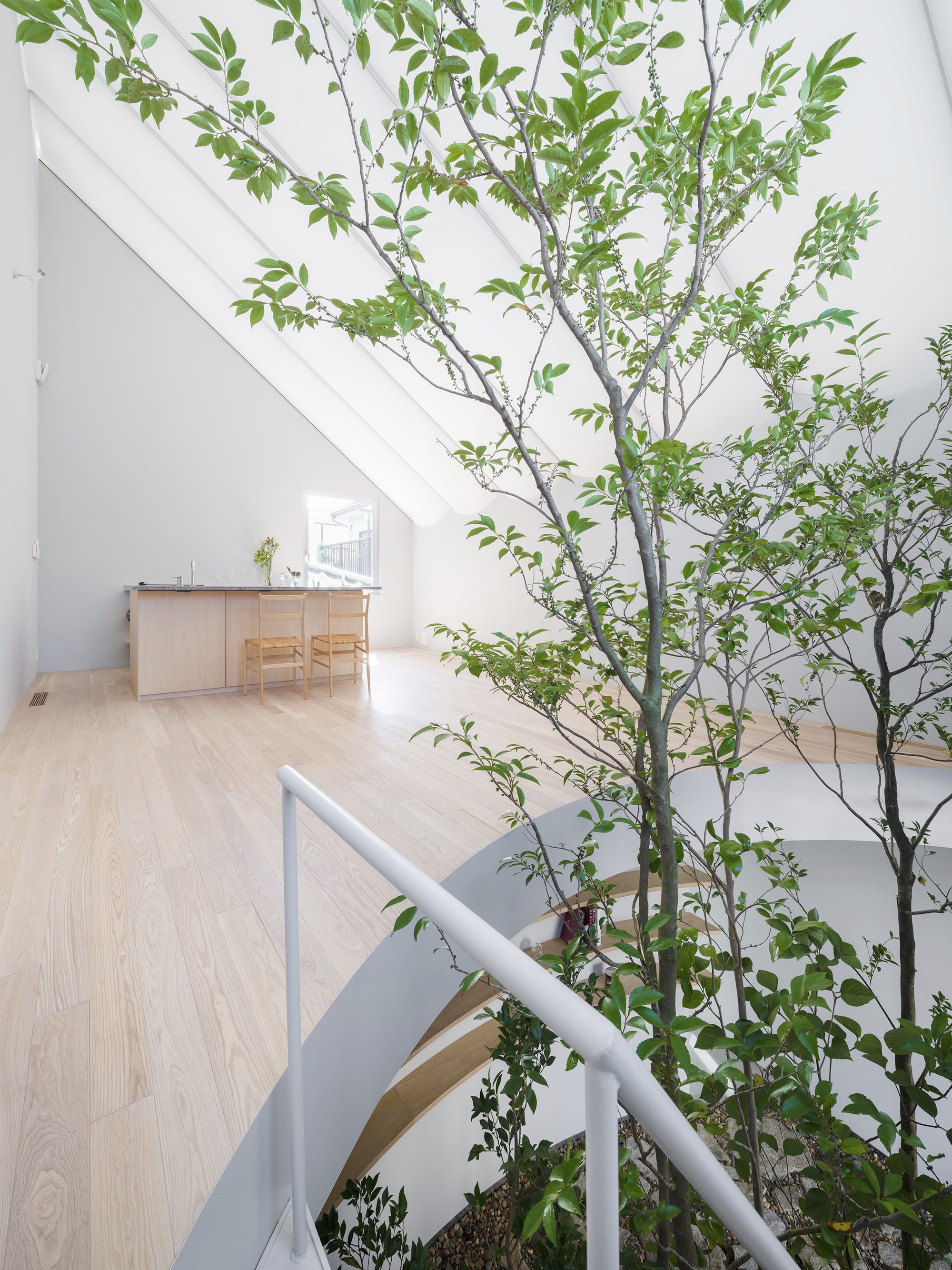 带膜屋顶的房子丨日本东京-28