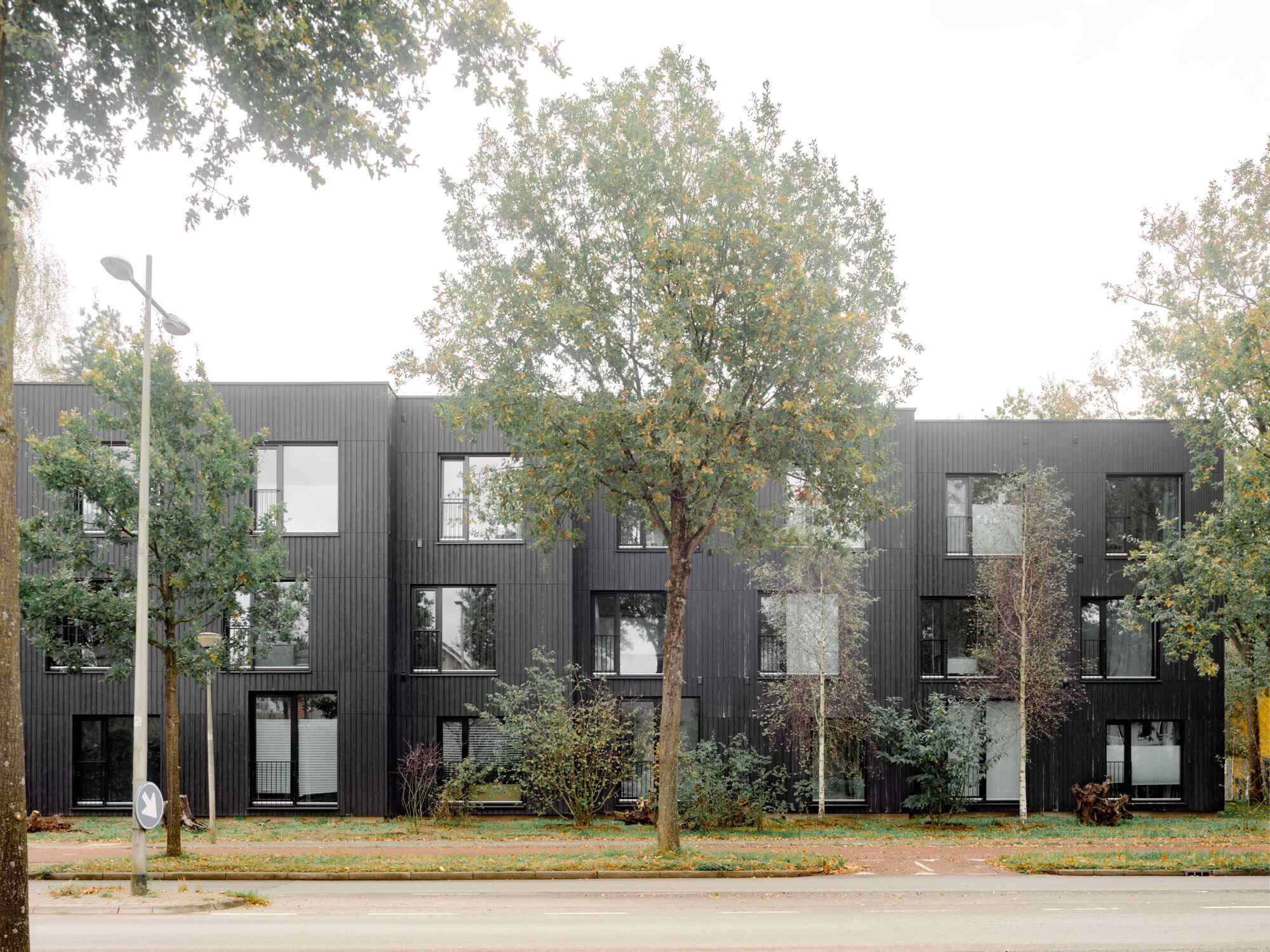 普通木材丨荷兰阿默斯福特丨Space&Matter-14