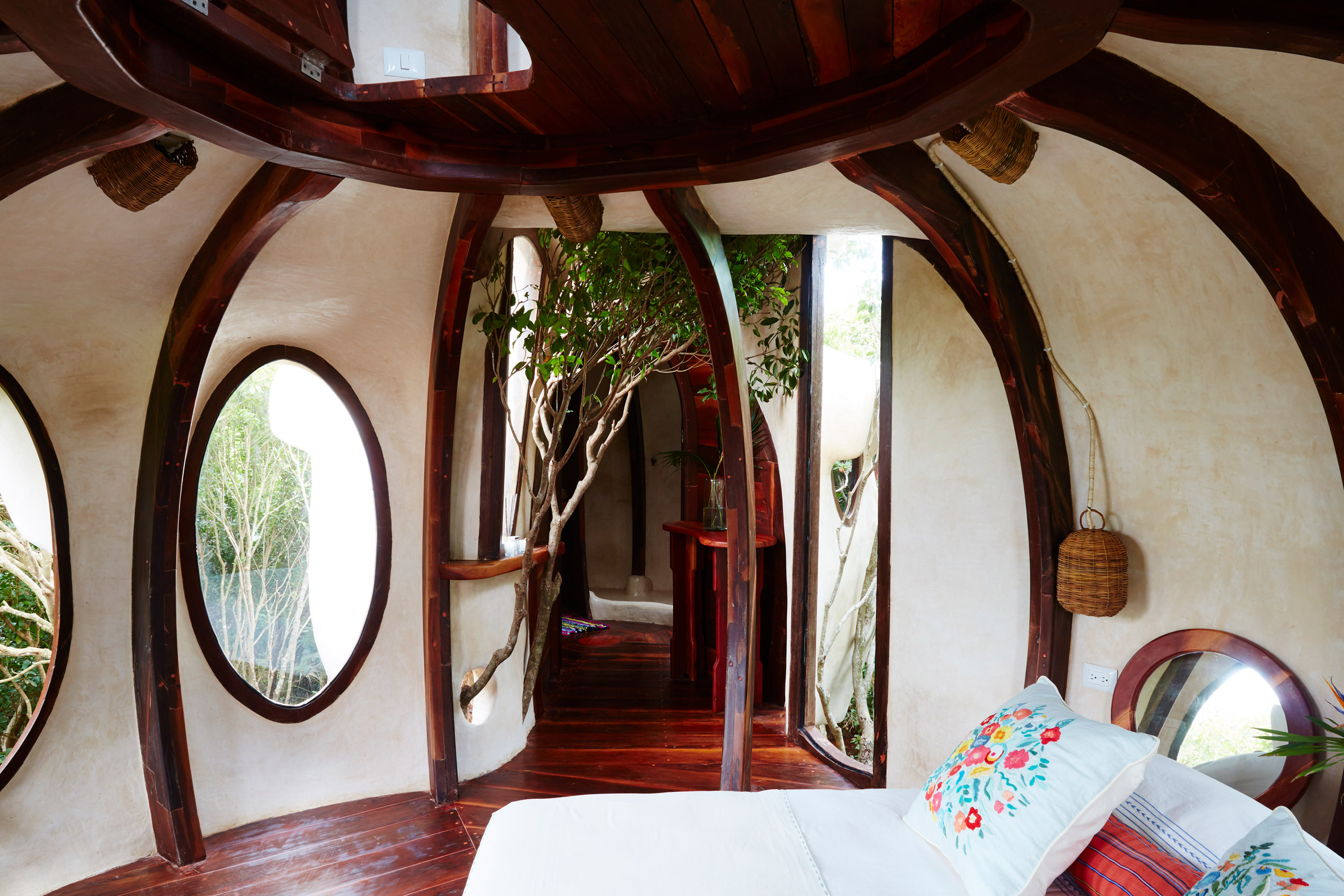 Treehouse hotel room peeps above canopy of Mexico's tropical woodland-6