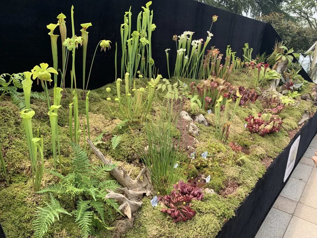 2019 西湖花园节创意花园设计亮点解读-157