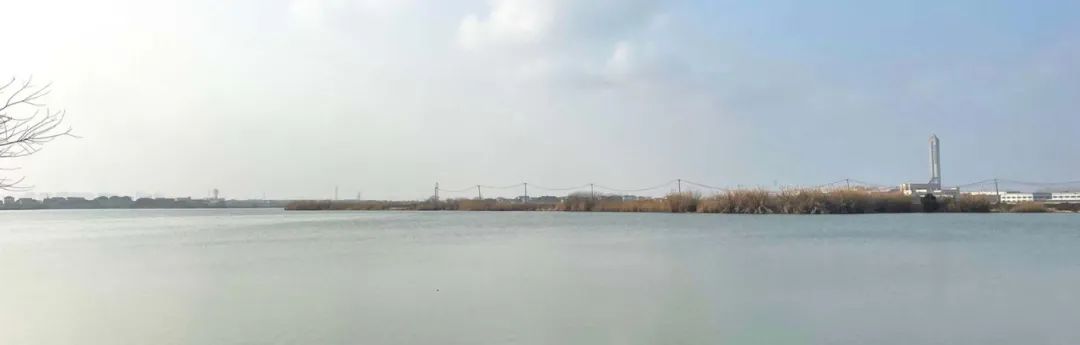 水杉林餐厅丨中国苏州丨大象设计-7