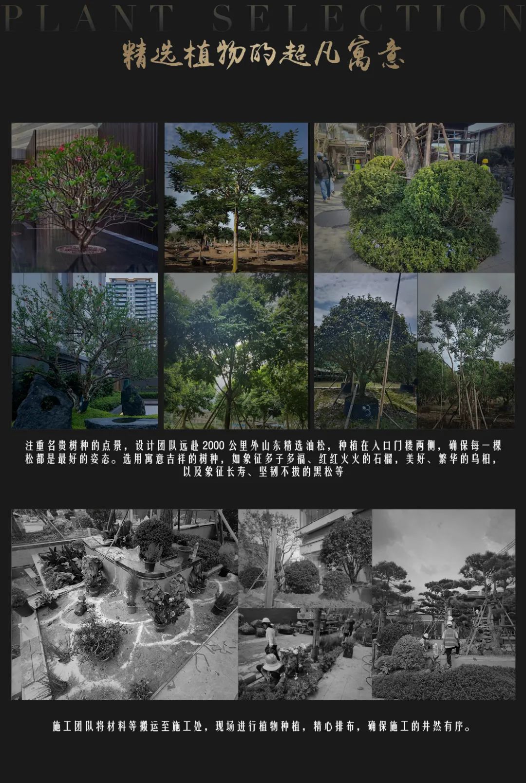 中建壹品·湖北文旅 鹏宸云筑丨中国深圳丨深圳伯立森景观规划设计有限公司-40