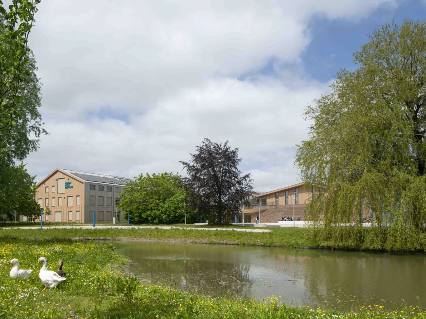 荷兰 Eemsdelta 校园综合体丨荷兰格罗宁根丨Felixx 景观设计事务所与 De Unie Architecten-2