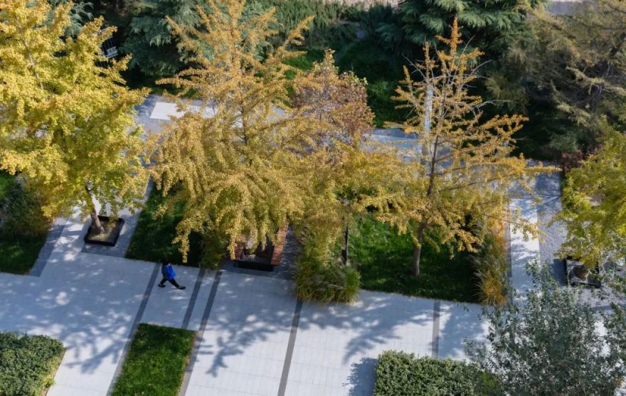 蓝海引擎产业园 | 花园式办公环境引领城市更新-93