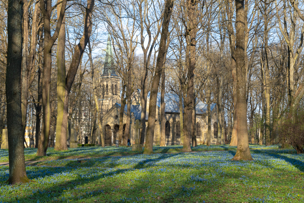 Izsludina metu konkursu Lielo kapu vērtību saglabāšanai ← FOLD-7