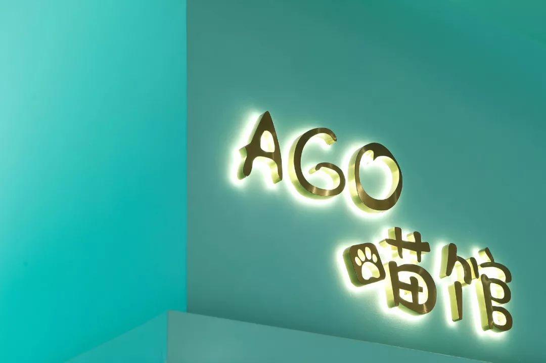 未耒 | 蓝绿矩阵 猫咪丛林-8