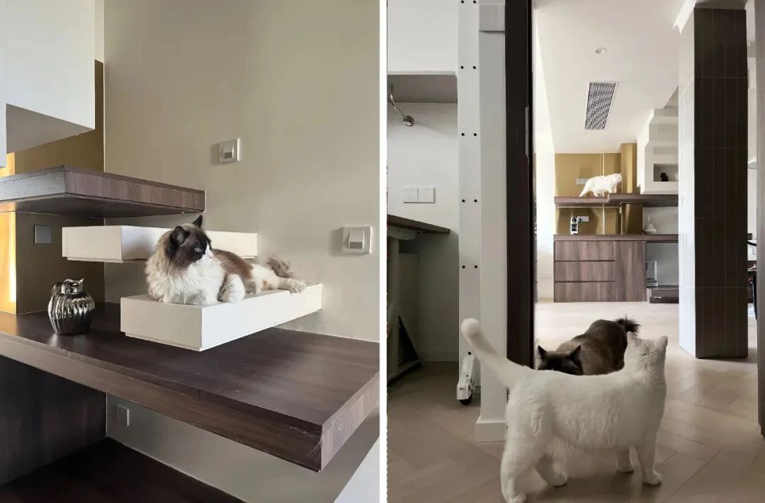 《我的前半生》制作人之家丨中国上海丨张萍-173