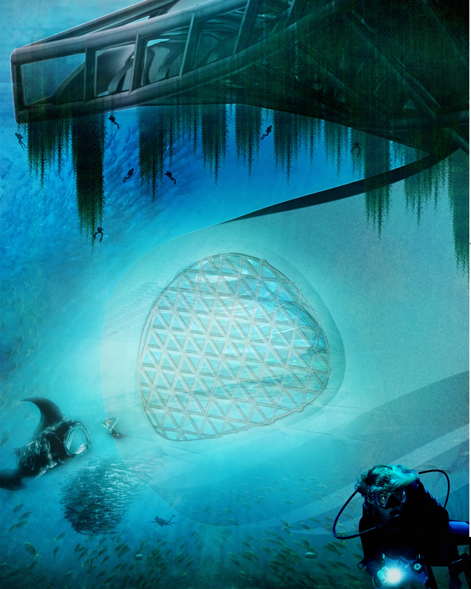 印尼 Flores 岛海洋生物保护中心丨ISHAQ ROCHMAN,ROCHMAN +CODES-15