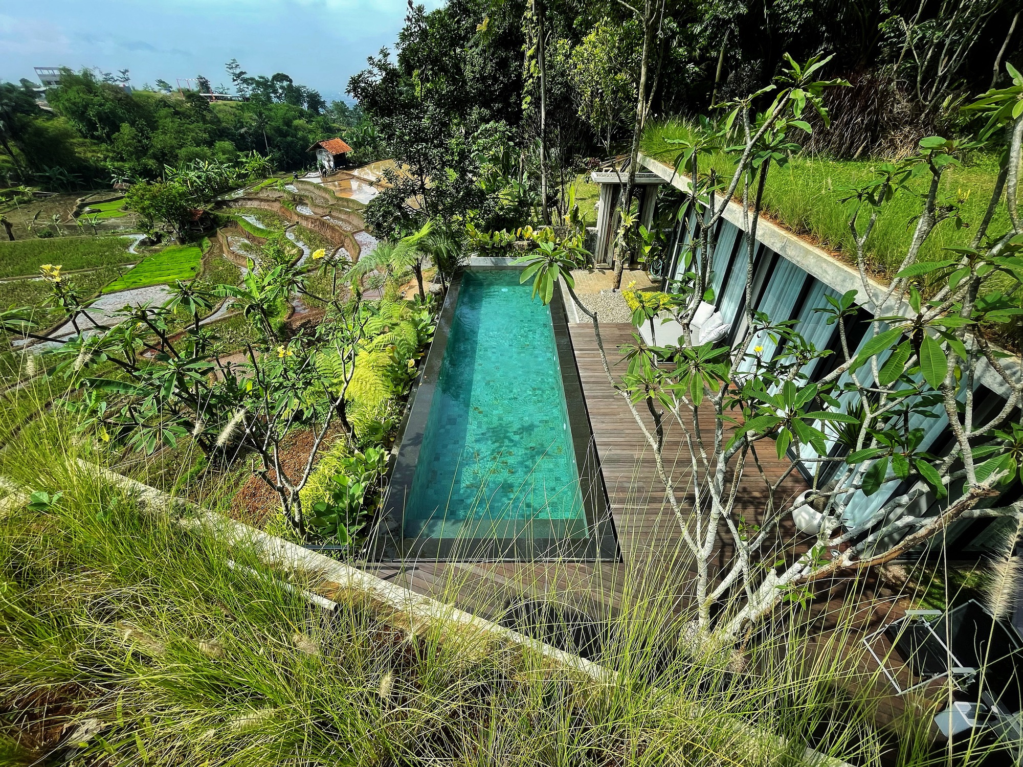 萨瓦萨伊·布尼萨里住宅丨印度丨BASIO-24