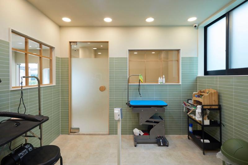 简约清新宠物美容室设计-4