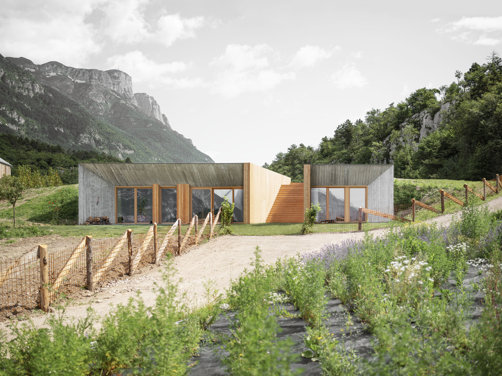 “La Dolce Mela" Agritour Farmhouse  / studio raro-23