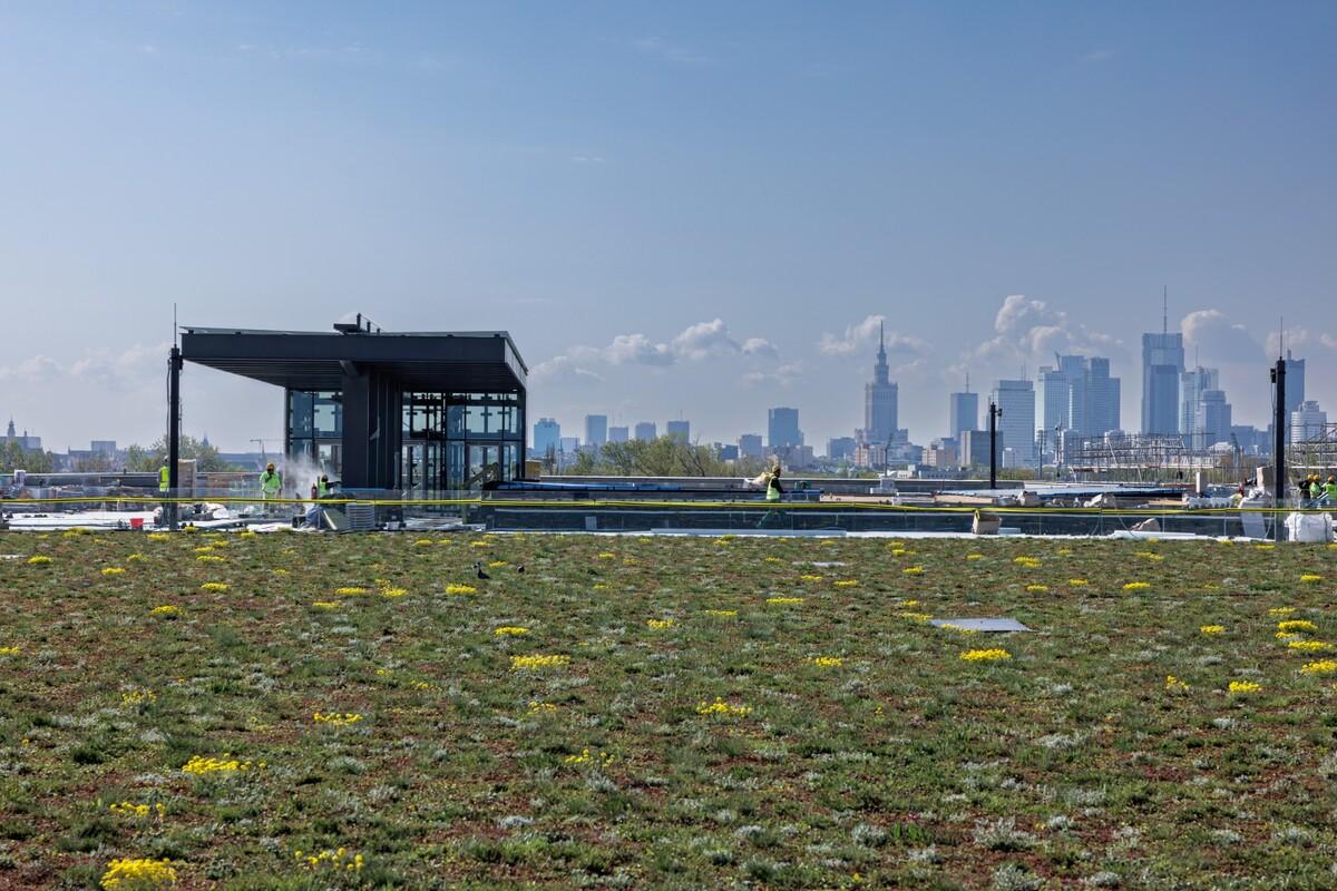波兰华沙的波兰历史博物馆和波兰陆军博物馆方案丨CA | 建筑学院  ARCHCOLLEGE-13