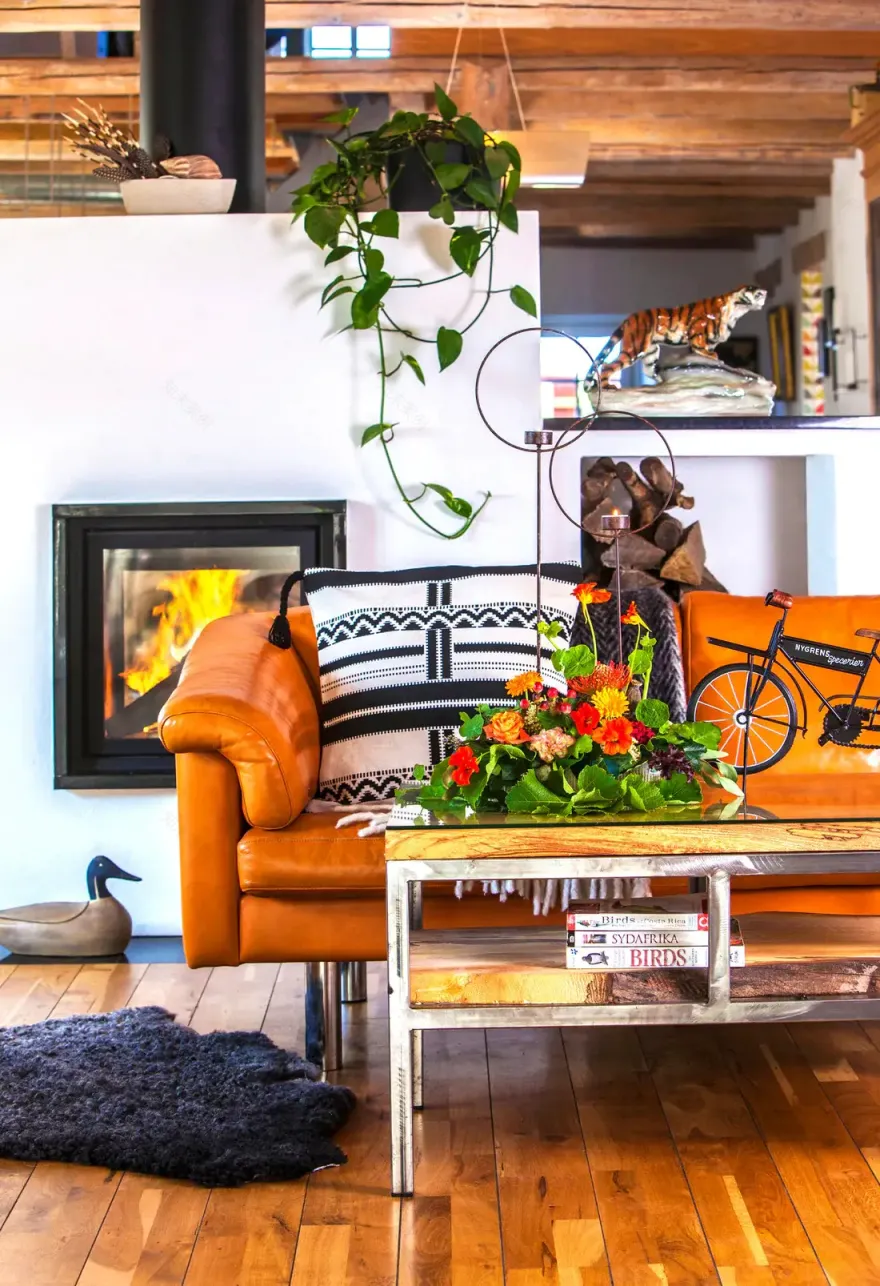 瑞典百年农舍的南法风情改造-2