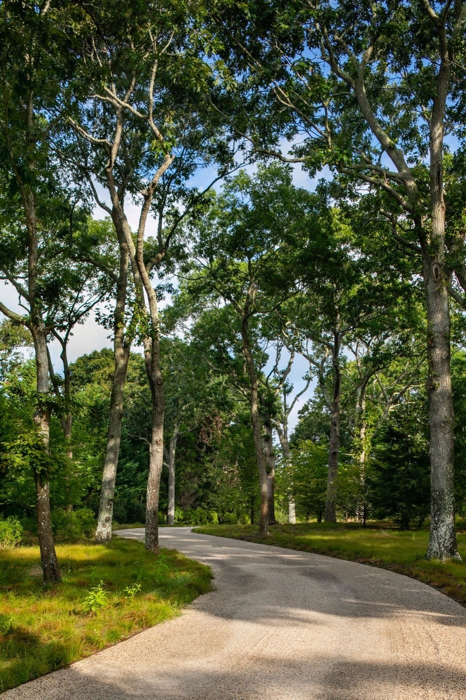 美国佩科尼克湾的 8 英亩地块景观-43