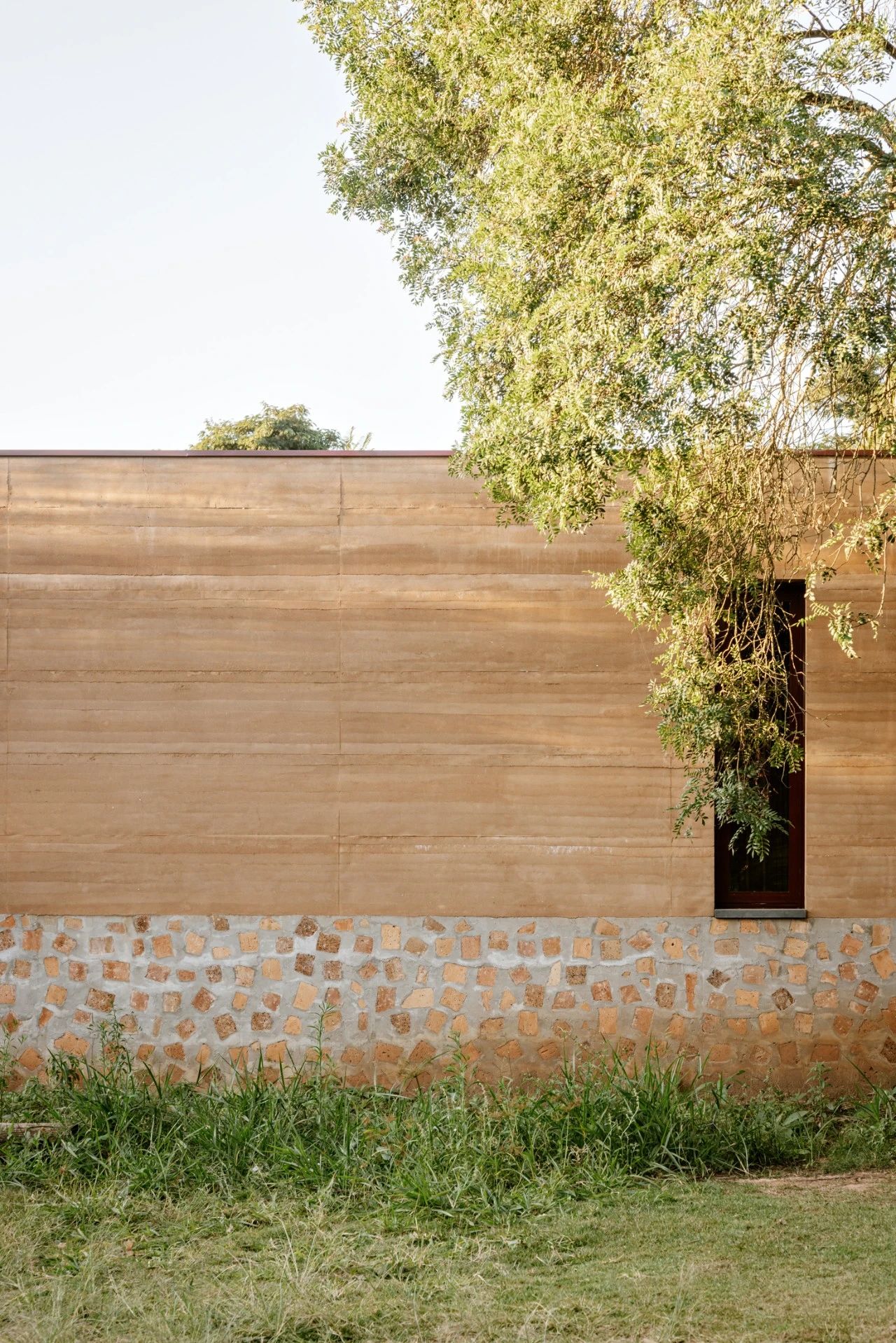 深林之家丨巴西圣保罗丨F.studio-17