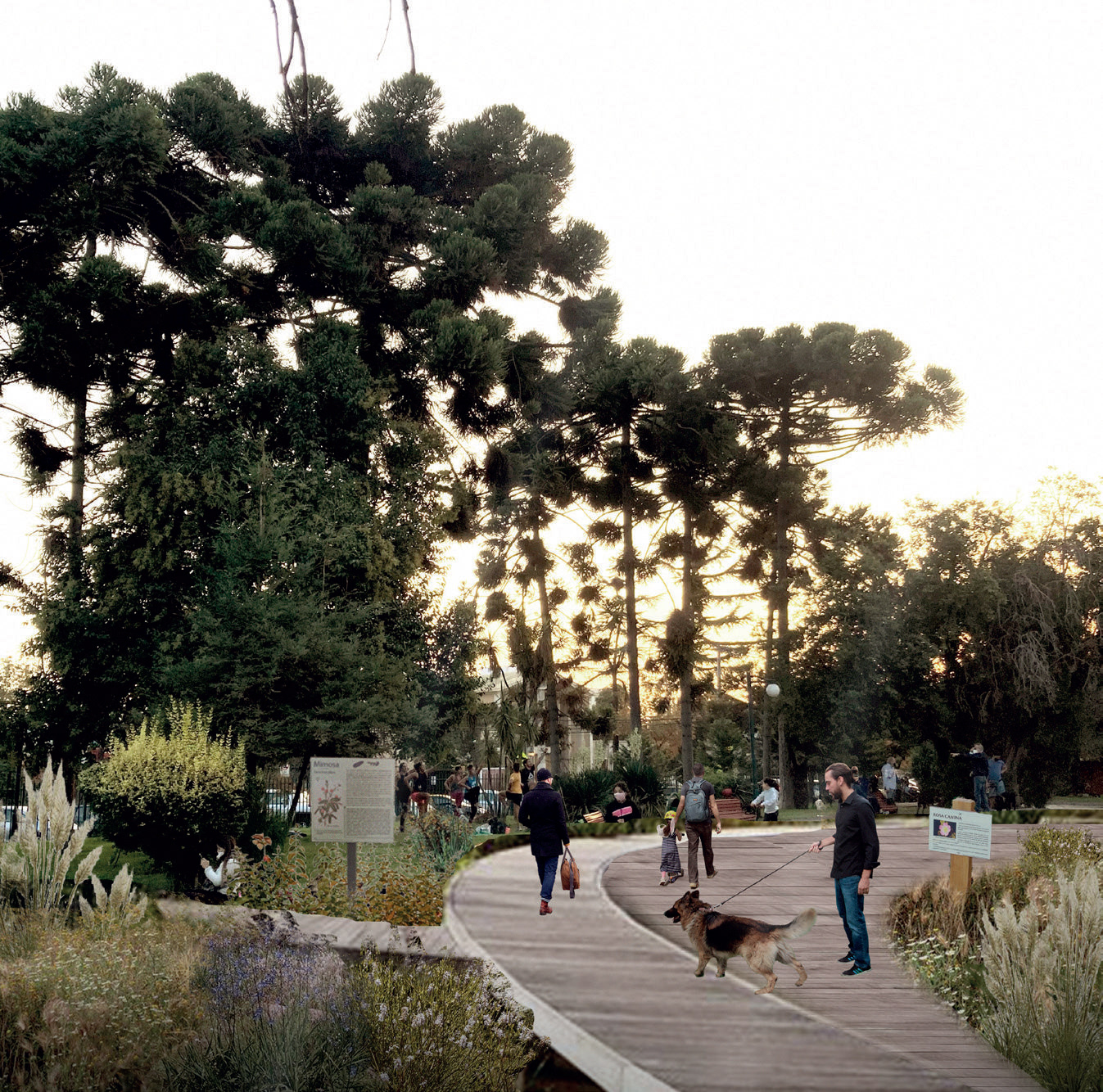 Jardín Botánico Parque Pucará-4